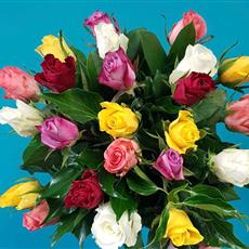 24 Mixed Coloured Roses - February Bouquet of the Month