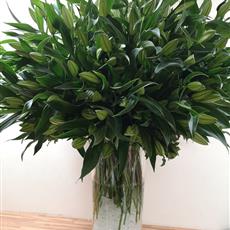 100 White Lily Vase