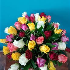 50 Mixed Coloured Roses - February Bouquet of the Month