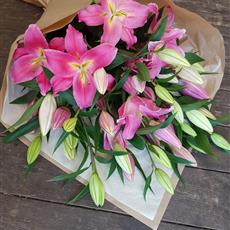 Just Pink Lilies 