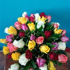 50 Mixed Coloured Roses - Available Until 25th April