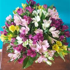 24 Mixed Coloured Alstromeria - Available Until 11th July