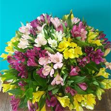 36 Mixed Coloured Alstromeria - Available Until 11th July