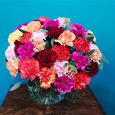 36 Mixed Coloured Carnations - Available Until 27th April