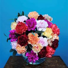 24 Mixed Coloured Carnations - Available Until 27th April