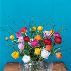 24 Mixed Coloured Ranunculus available until 24th April