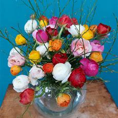 36 Mixed Coloured Ranunculus available until 24th April 2026