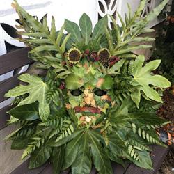 Green Man