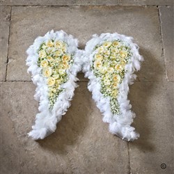 Angel Wings