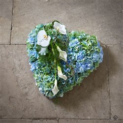 Blue Heart 