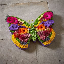 Beautiful Butterfly