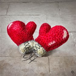 Boxing Gloves