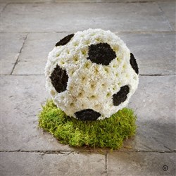 Prestige Football 