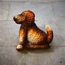 Faithful Companion