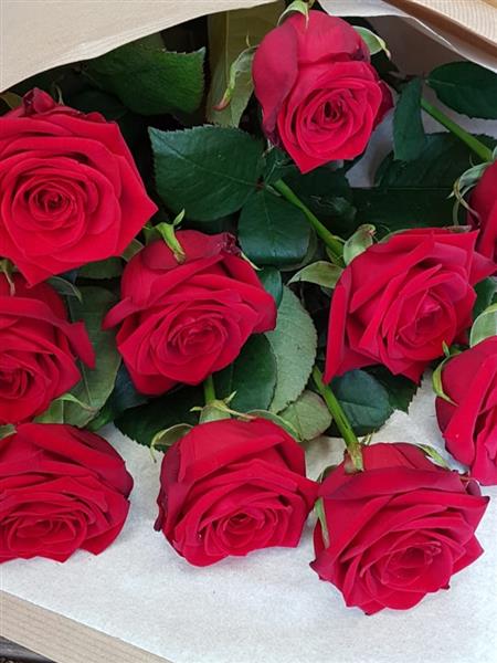 Got Red Roses Just Red Roses